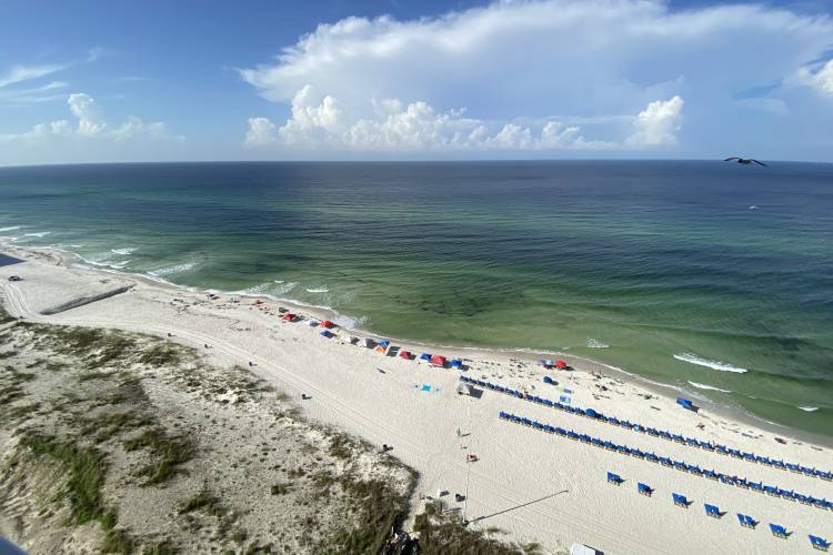 the-best-destinations-in-florida-for-snowbirds-sun-sand-rentals